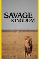 Watch Savage Kingdom Solarmovie