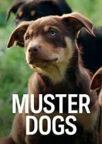 Watch Muster Dogs Solarmovie