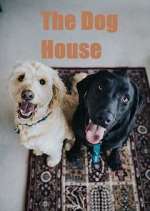Watch The Dog House Solarmovie