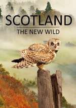 Watch Scotland - The New Wild Solarmovie