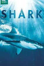 Watch Shark Solarmovie