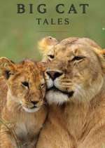 Watch Big Cat Tales Solarmovie