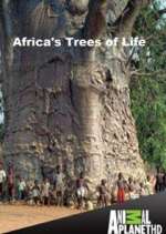 Watch Africa's Trees of Life Solarmovie
