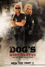 Watch Dog\'s Most Wanted Solarmovie