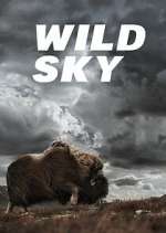 Watch Wild Sky Solarmovie