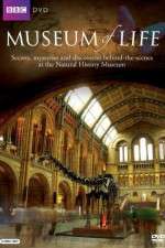 Watch BBC Museum of Life Solarmovie