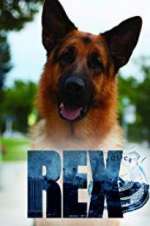 Watch Hudson & Rex Solarmovie