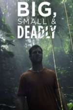 Watch Big, Small & Deadly Solarmovie