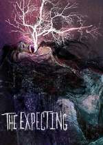 Watch The Expecting Solarmovie
