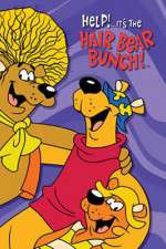 Watch Help!... It's the Hair Bear Bunch Solarmovie