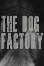 Watch The Dog Factory Solarmovie