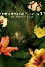 Watch Kingdom of Plants 3D Solarmovie