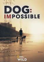 Watch Dog: Impossible Solarmovie
