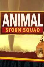Watch Animal Storm Squad Solarmovie