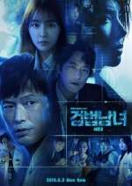 Watch Investigation Couple Solarmovie
