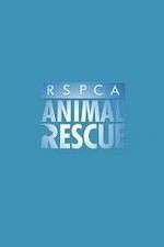 Watch RSPCA Animal Rescue Solarmovie