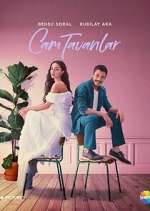 Watch Cam Tavanlar Solarmovie