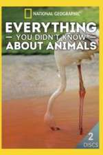Watch Everything You Didnt Know About Animals Solarmovie