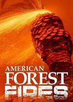 Watch American Forest Fires: The Untold Story Solarmovie