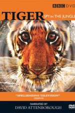 Watch Tiger: Spy in the Jungle Solarmovie