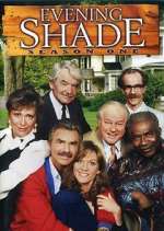 Watch Evening Shade Solarmovie