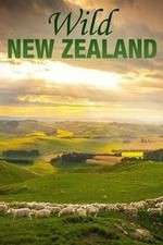 Watch Wild New Zealand Solarmovie